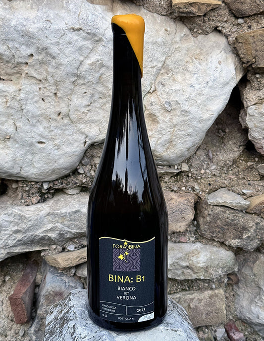 BINA B1