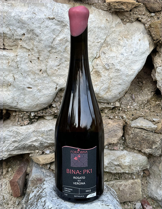 BINA PK1